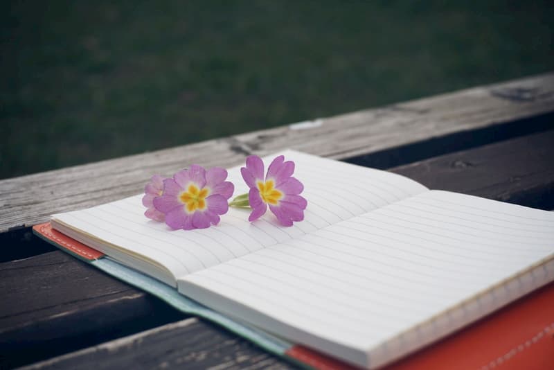 Cahier pour écrire