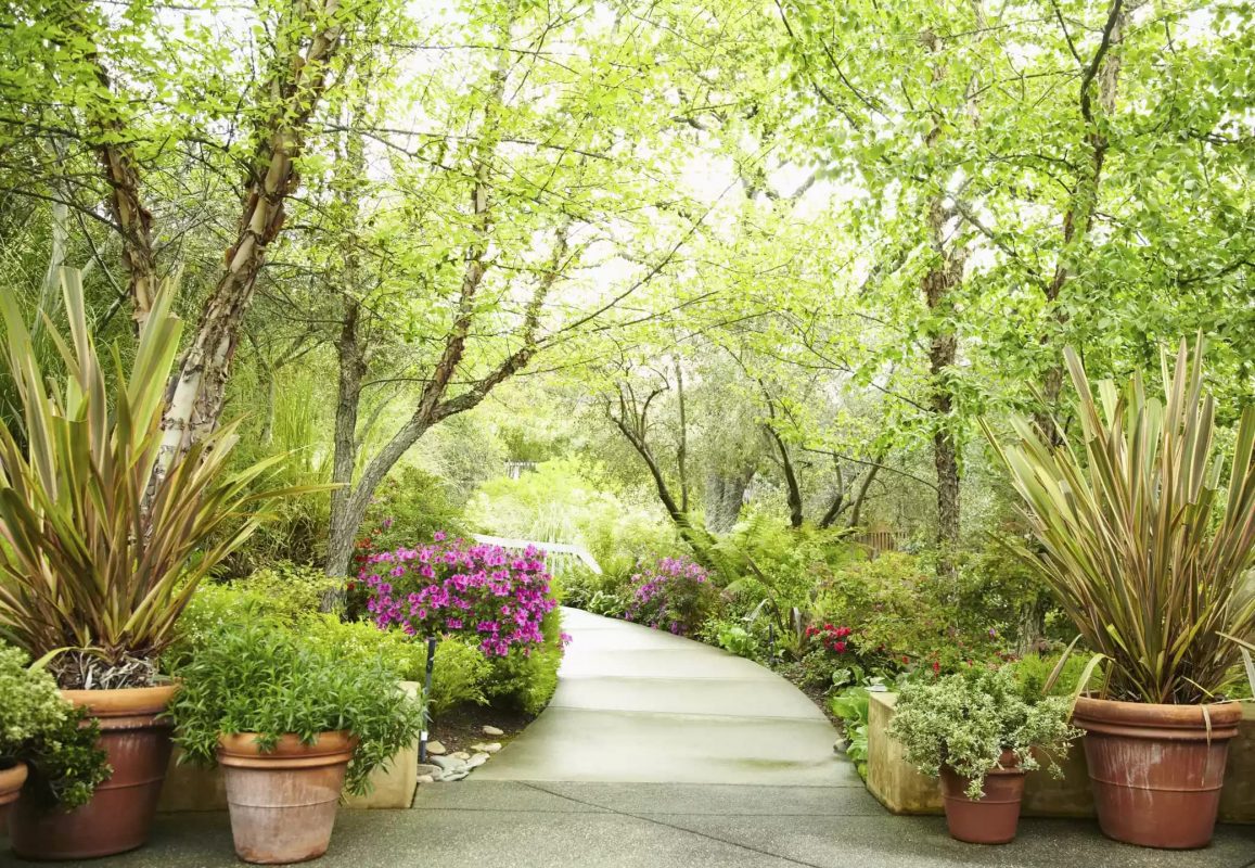 Énergie feng shui au jardin 